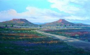 "Flowers Blooming in the Karoo"