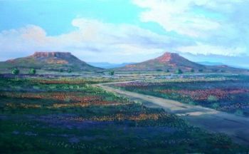 "Flowers Blooming in the Karoo"