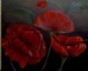 "Red Poppies"