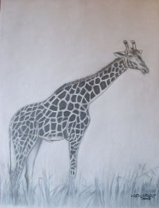 "Giraffe2"