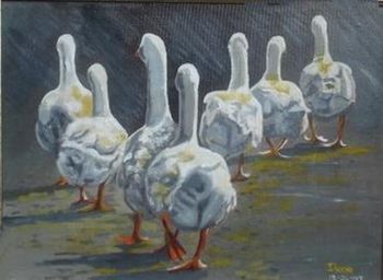 "Geese at Dawn Departure"