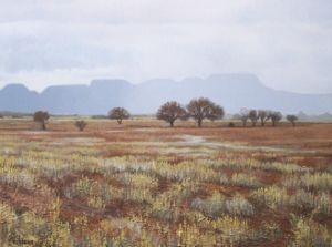 "Wet Karoo"