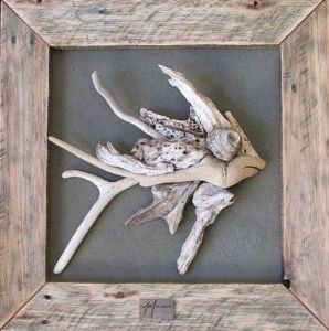 "Driftwood - Fish"