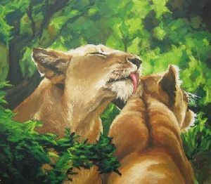 "Lionesses Preening"