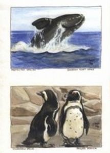 "Endangered Sealife : Set of 4"