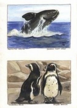 "Endangered Sealife : Set of 4"