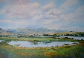 "Wetlands of Wakkerstroom"