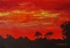 "Fiery Sunset in the Bush"