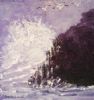 "Crashing Ocean with Seagulls"