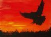 "Bird of Prey"