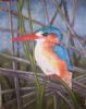 "Malachite Kingfisher"