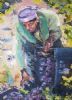 "Xhosa Woman Picking Grapes Nr 3"