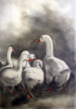 "Gathering"