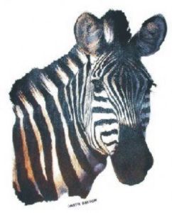 "Zebra"