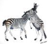 "Zebras Fighting"