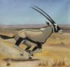 "Gemsbok"