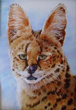 "Serval Cat"