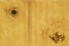 "Wormhole"