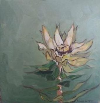 "Fynbos 18, Leocadendron"