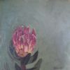 "Fynbos 22, Protea Compacta"