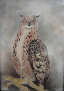 "Owl"