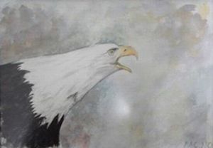 "Eagle"