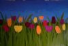 "Tulips in a Field"