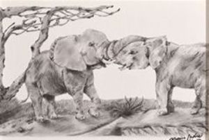 "Elephant Playtime"