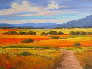 "Rural Cape landscape"