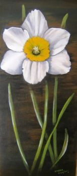 "White Daffodil"