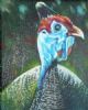 "Guinea Fowl"