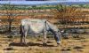 "Rural Africa 2"