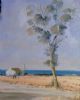 "St Helena Bay 3"