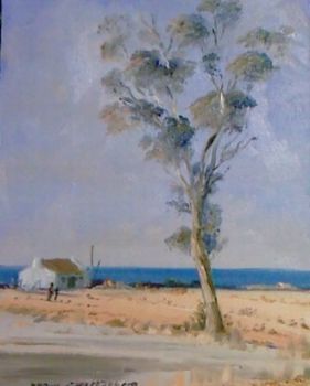 "St Helena Bay 3"