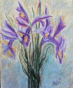 "Iris"