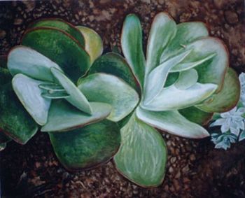 "Succulent"