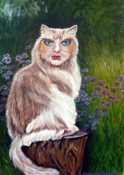 "Puddytat"