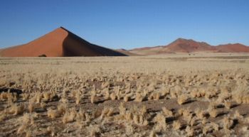 "Desolate Desert No. 2 of 35"