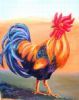 "Rooster Power"