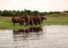 "Lost scenes Lake Kariba No. 5 of 33"