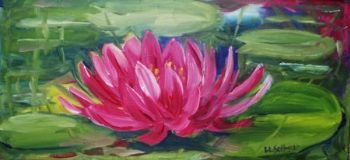 "Pink Waterlilies 1"
