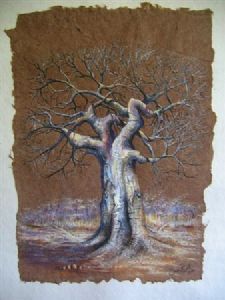 "Lowveld Baobab"