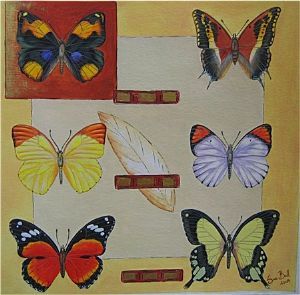 "Butterflies of Southern Africa - Series 2"