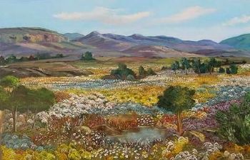 "Nature's Splendour"