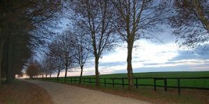 "Twilight Road"