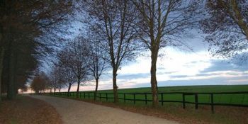 "Twilight Road"