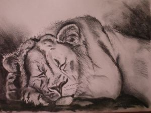 "Lion Dozing"