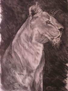 "Lioness Pride"
