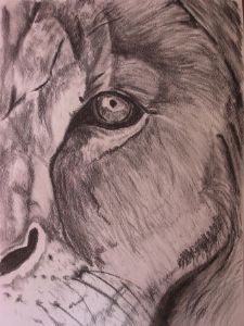 "Lion's Eye"