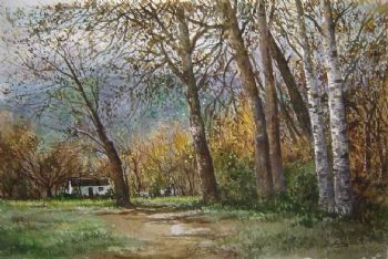 "Autumn trees, Wellington"